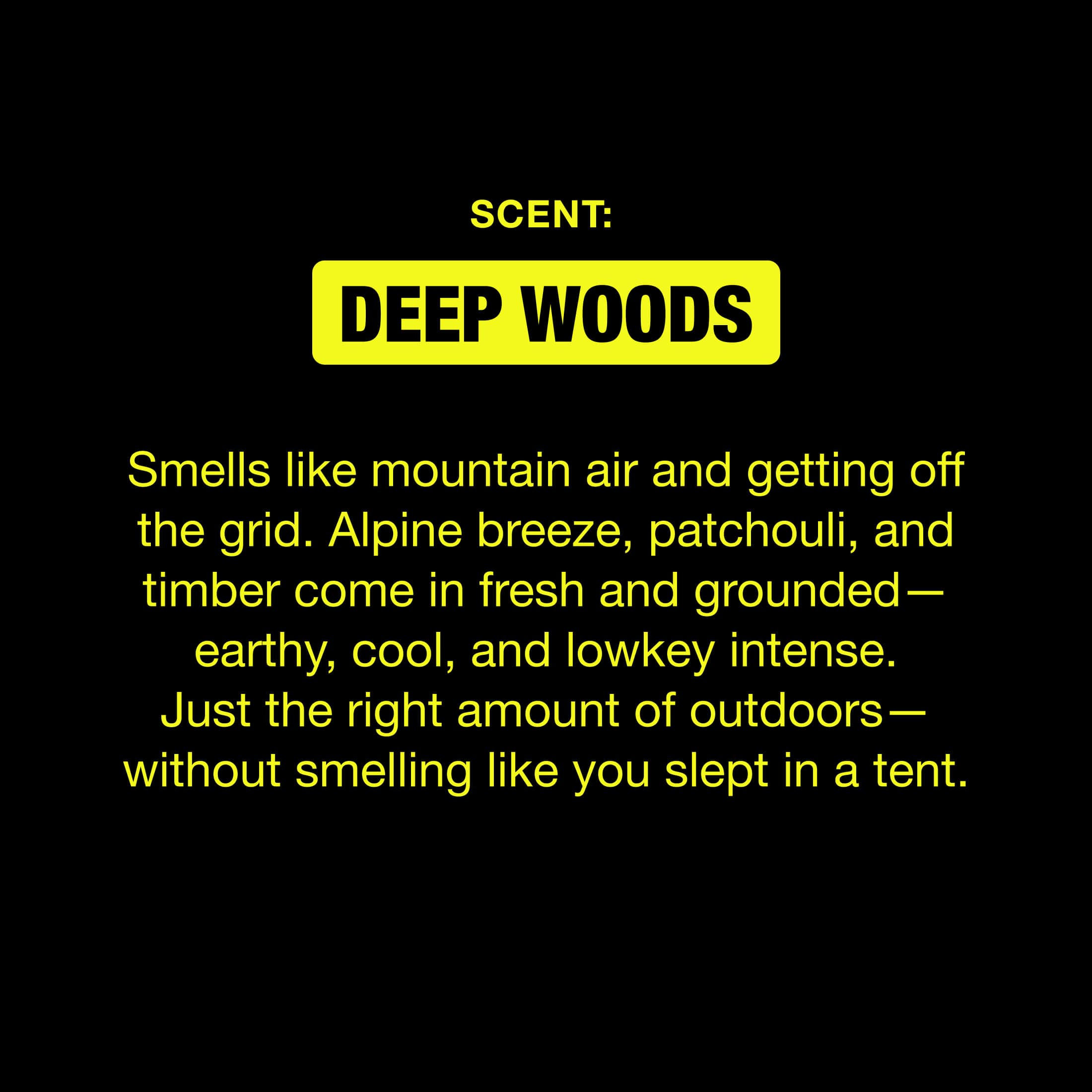 Aluminum Free Deodorant - 2pk - Deep Woods