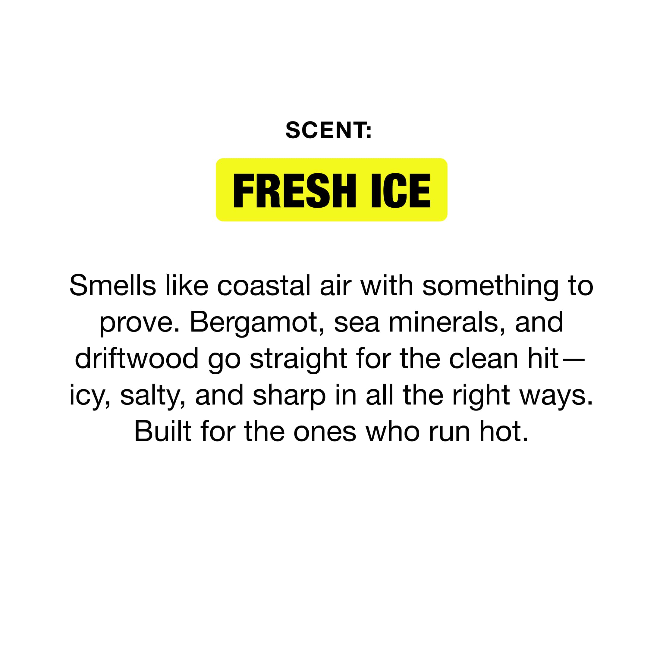 Aluminum Free Deodorant - 2pk - Fresh Ice